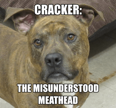 Cracker - Misunderstood Meathead
