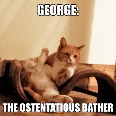 George - The Ostentatious Bather