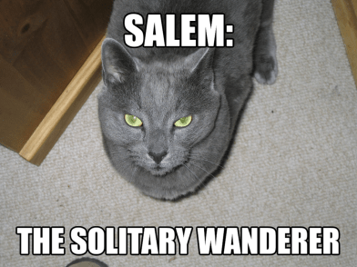 Salem - The Solitary Wanderer