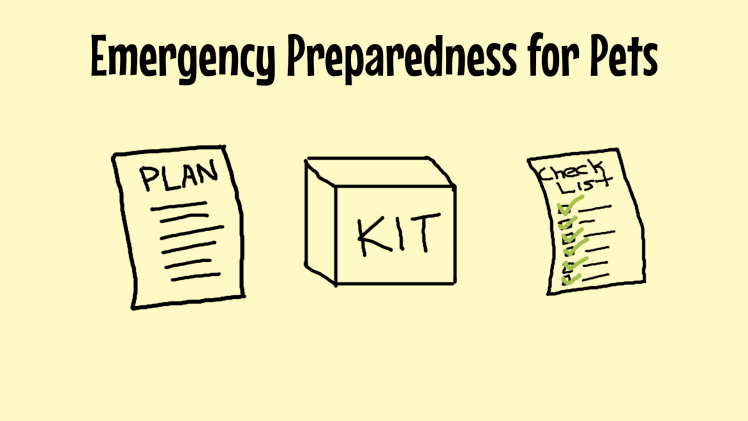 Emergency Preparedness for Pets