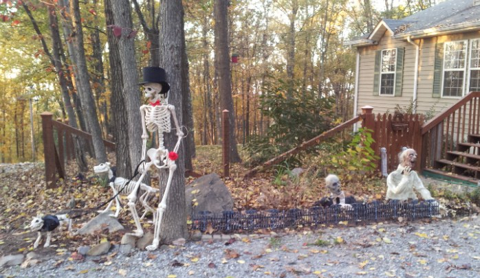 Halloween at My House