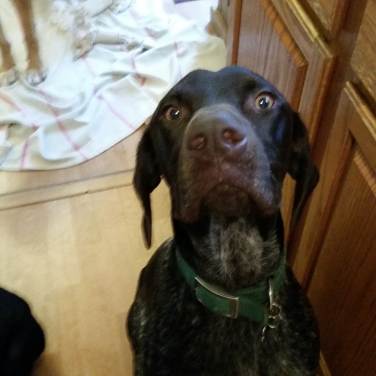 Oh, Seamus...That Face!