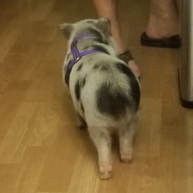 Just Look at that Cute Heinie!